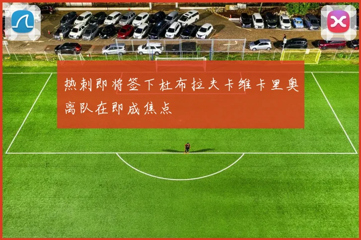 热刺即将签下杜布拉夫卡维卡里奥离队在即成焦点